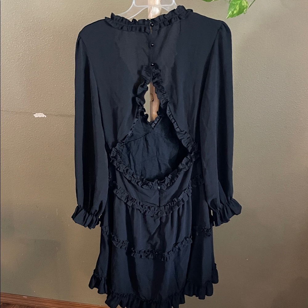 Chic Black Ruffle Long Sleeve Dress - Picture 2 of 6